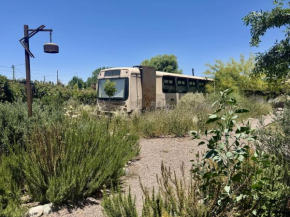 BondiLodge, depto chico alojamiento unico con piscina